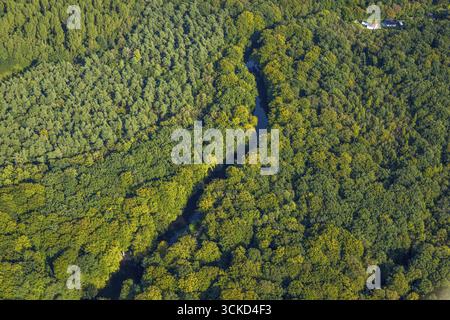 Aus der Vogelperspektive, Fluss Stever im Wald zwischen Haltern und Hullerner Stausee, Stockwiese, Haltern am See, Ruhrgebiet Münsterland, Nord-R Stockfoto