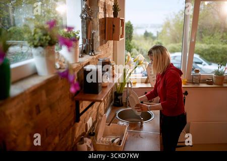 Eine Frau, die Geschirr wäscht, Teller in einer Wohnküche an einem großen Fenster putzt. Haus, Familie, Lifestyle-Konzept. Stockfoto