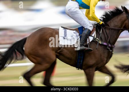 Abstrakte Bewegungsunschärfe eines Jockeys und Reiters in einem Hindernisrennen. Stockfoto