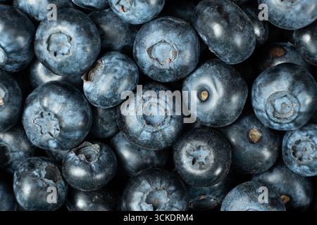 Makroansicht von Bio-Heidelbeeren. Natürlicher Beerenhintergrund Stockfoto