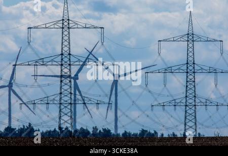 Klein Rogahn, Deutschland. September 2025. Pylonen von Fernleitungen stehen vor einer Trafostation. Quelle: Jens Büttner/dpa/Alamy Live News Stockfoto