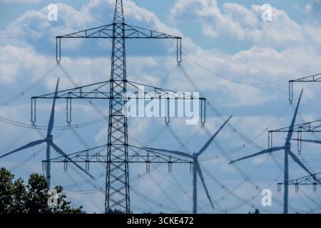 Klein Rogahn, Deutschland. September 2025. Pylonen von Fernleitungen stehen vor einer Trafostation. Quelle: Jens Büttner/dpa/Alamy Live News Stockfoto