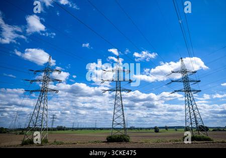 Klein Rogahn, Deutschland. September 2025. Pylonen von Fernleitungen stehen vor einer Trafostation. Quelle: Jens Büttner/dpa/Alamy Live News Stockfoto
