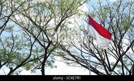 Eingerahmt von Bäumen schwingt die rot-weiße Flagge Indonesiens unter dem hellen Himmel, ein mächtiges Symbol der Einheit, des Stolzes und der Freiheit im Einklang mit der Natur Stockfoto