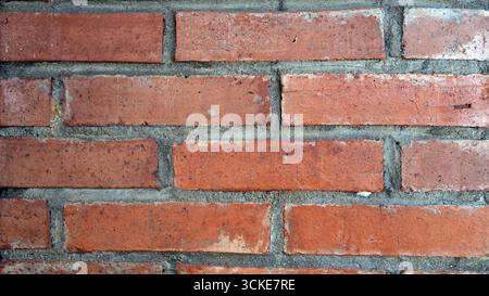 Eine rote Ziegelmauer in der Nähe Stockfoto