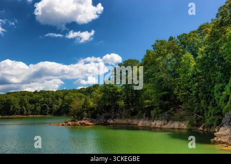 Weiße, geschwollene Wolken schweben im blauen Himmel über den Bäumen rund um den Cherokee Lake in der Nähe von Knoxville, Tennessee, USA Stockfoto