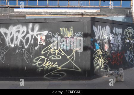Das Horten vor dem verlassenen O2 abc-Veranstaltungsort ist mit Graffiti und politischen Slogans bedeckt; ein kleiner Hund davor. Sauchiehall Street, Glasgow City. Stockfoto