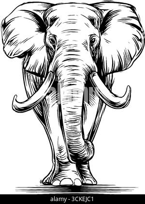 Majestätische Elefantenkopfgravur im Vintage-Stil für Kunst und Design. Stock Vektor