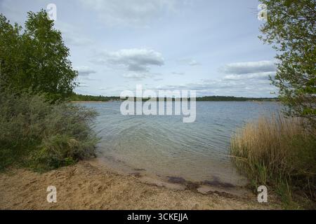 Am Ufer des Geiseltalsees in Sachsen-Anhalt. Stockfoto