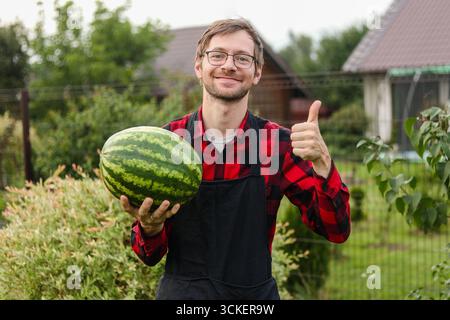 Ein lächelnder, zufriedener Bauer, der eine Wassermelone hält und den Daumen nach oben zeigt. Wassermelonen auf dem Feld ernten. Stockfoto