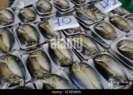 Fisch wird auf dem Khlong Toei Markt in Bangkok, Thailand, verkauft. Stockfoto