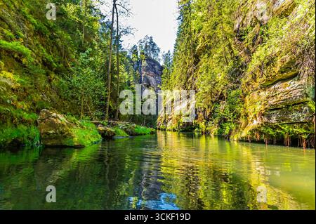 Blick von einem Boot auf den schiffbaren Abschnitt des Flusses Kamenice in der Tschechischen Schweiz im Frühling Stockfoto