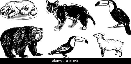Schwarz-weiße Sketch-Reihe von Tieren mit Faultieren, Katzen, Bären, Tukan und Schafen. Stock Vektor