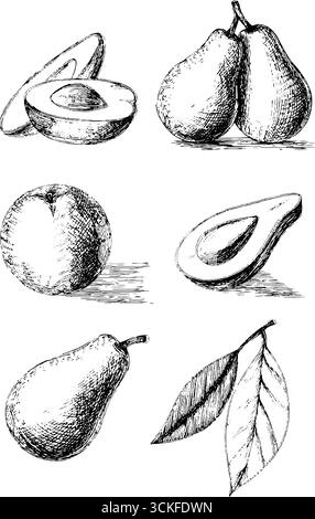 Handgezeichnete Obstskizzen mit Pfirsichen, Birnen und Avocadoscheiben mit Blättern. Stock Vektor