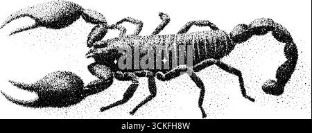 Komplizierte Illustration eines skorpions für Tätowierungen und Kunstdrucke. Stock Vektor