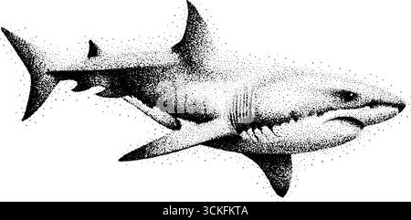 Kompliziertes, stippelndes Design mit Haifischtätowierungen für Kunst- und Körperkunstliebhaber. Stock Vektor