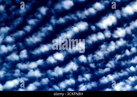 Ein Himmel voller gemusterter Wolken, wahrscheinlich Altocumulus oder Cirrocumulus, vor einem leuchtend blauen Hintergrund in Sydney, NSW, Australien. (Foto von Tara CH Stockfoto