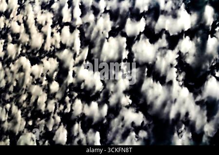 Ein Himmel voller gemusterter Wolken, wahrscheinlich Altocumulus oder Cirrocumulus, vor einem leuchtend blauen Hintergrund in Sydney, NSW, Australien. (Foto von Tara CH Stockfoto