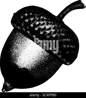 Illustration eines winzigen Eicheldesigns für Natur-inspirierte Kunst. Stock Vektor