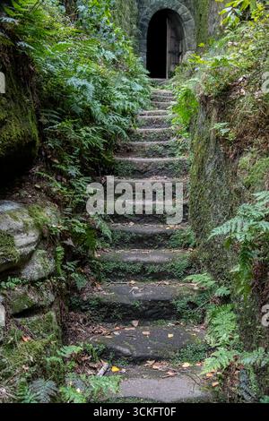 Eine Steintreppe führt zu einer geheimnisvollen Tür in einem alten Steingebäude Stockfoto