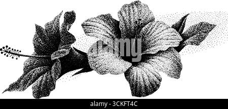 Komplizierte Stipple-Dotwork-Illustration der Hibiskusblüte für Vintage-Design. Stock Vektor