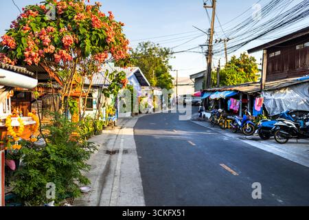 Innerhalb der umweltfreundlichen grünen Oase von Bangkok, eine typische kleine Hauptstraße, Teil eines winzigen Netzes, verbunden durch enge Wege, die durch üppige V Stockfoto