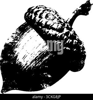 Grunge schwarz-weiße Eichelabbildung für Herbstdesign-Projekte. Stock Vektor