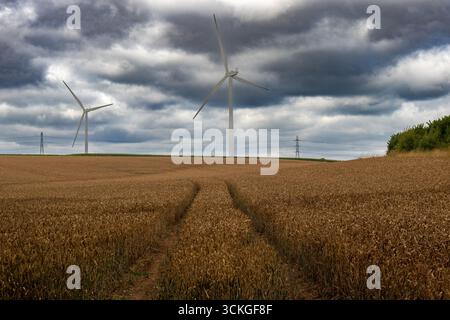 Windturbinen im Weizenfeld unter dramatisch bewölktem Himmel Stockfoto