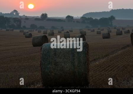 Sonnenaufgang über erntetem Feld mit Heuballen, die über Ackerland verstreut sind Stockfoto