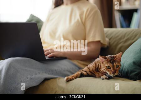 Junge Erwachsene Frau Mit Laptop, Während Sie Neben Der Bengalkatze Sitzt Stockfoto