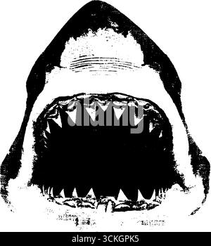 Grunge schwarz-weiße Haikopf-Illustration für urbanes Design und Poster. Stock Vektor