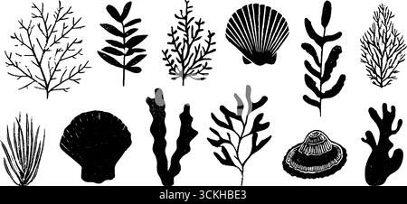 Linolschnitt Meerespflanzen-Kollektion: Illustrationen aus Korallen, Algen und Seetang zum Design. Stock Vektor
