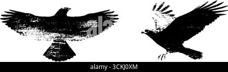 Schwarz-weiße Adlerschablonen für Designprojekte. Stock Vektor