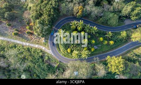 Luftaufnahme von oben auf die geschwungene Straße durch tropische Waldlandschaft Stockfoto
