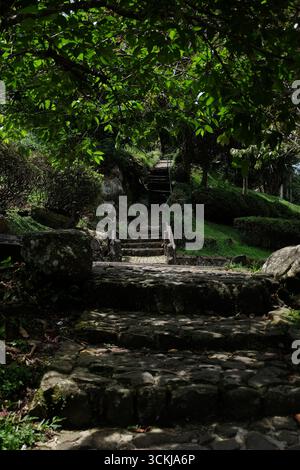 Steinweg durch üppigen Wald Stockfoto