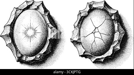 Vintage-Spiegelsplitter und rissiges Glas-Silhouettendesign sorgen für künstlerische Einrichtung. Stock Vektor