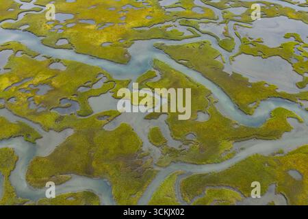 Enge Kanäle schlängeln sich durch ein wunderschönes Salzwiesen auf Cape Cod, Massachusetts. Diese natürlichen Kohlenstoffsenken sind geschützte Baumschulen für Wildtiere. Stockfoto