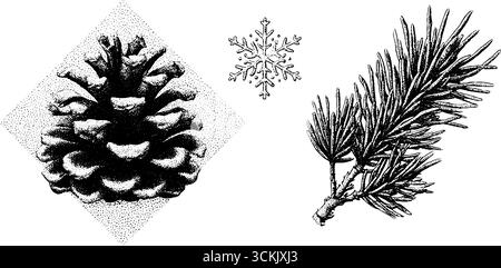 Vintage Tannenzapfen und immergrüne Nadel mit Schneeflocken-Design für Winterdekorationen. Stock Vektor