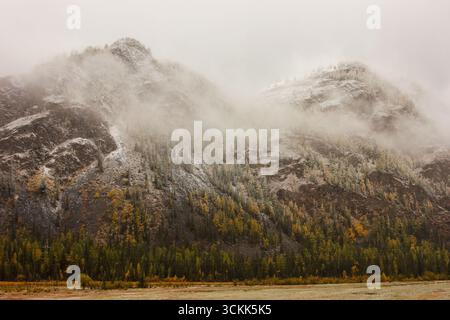 Herbstlicher Bergwald mit bunten Bäumen, die teilweise von Nebel und ersten Schnee bedeckt sind, was eine dramatische und kalte saisonale Atmosphäre hervorruft Stockfoto