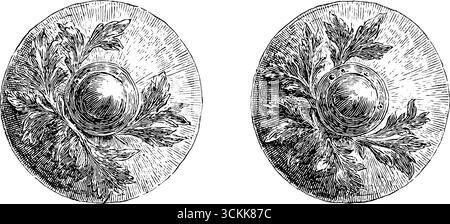 Handgezeichnete Vintage-Gravur von kunstvollen Hoplitschildern mit Lorbeer-Design. Stock Vektor