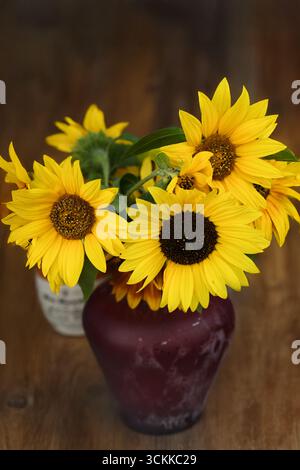 Sonnenblumen in einer vase Stockfoto