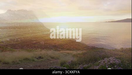 Schwache Sonne auf ruhigem Meer, felsiges Ufer, mit Grasbüscheln, lila Wildblumen, fernen Hügeln Stockfoto