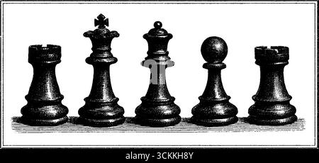 Detaillierte Gravur antiker Schachstücke für historische und lehrreiche Zwecke. Stock Vektor
