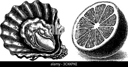 Gravierte Illustration von Austernschale und Zitrone für kulinarische Design- und Kunstprojekte. Stock Vektor