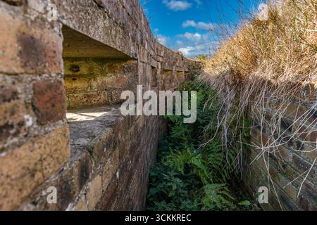 Verwachsener Verteidigungs-Bunker und Schusslöcher aus dem Zweiten Weltkrieg zum Schutz von Flugzeugen auf dem Flugplatz Drem, East Lothian, Schottland, Großbritannien Stockfoto