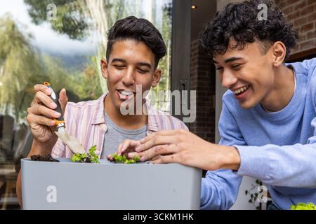 Zwei männliche Freunde Pflanzen Setzlinge mit Kelle, Topf Erde in Pflanzkasten auf Balkon Terrasse Stockfoto