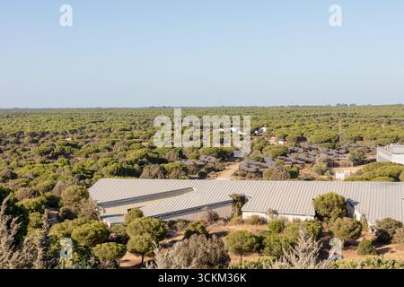 Donana Nationalpark, Andalusien, Spanien. August 2025. Kiefernwälder und Forschungsgebäude im Naturschutzgebiet. Stockfoto