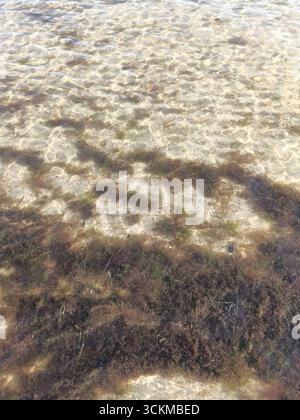 Nahaufnahme eines Sandstrandes mit Schatten auf ruhigem Wasser Stockfoto