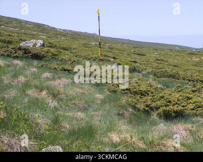 Fantastisches Frühlingspanorama des Vitosha-Berges, Bulgarien Stockfoto
