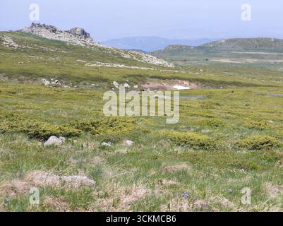 Fantastisches Frühlingspanorama des Vitosha-Berges, Bulgarien Stockfoto
